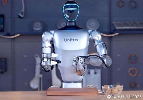 人形机器人厂商迎来精打细算时代 在科技变革中求生存与发展