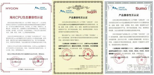 ChainSQL完成与海光、中科曙光、中科可控产品兼容性认证 开启国产化数据库新篇章