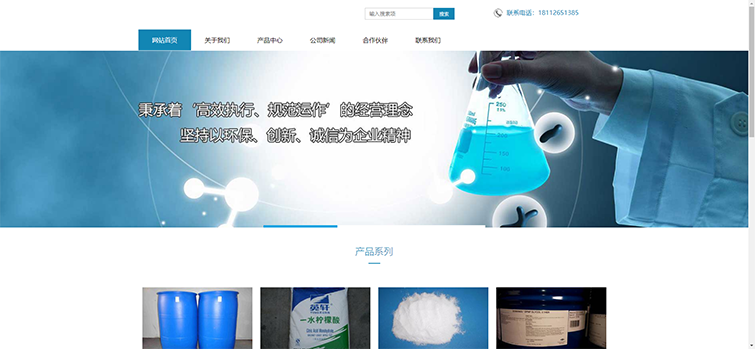 企业网站建设